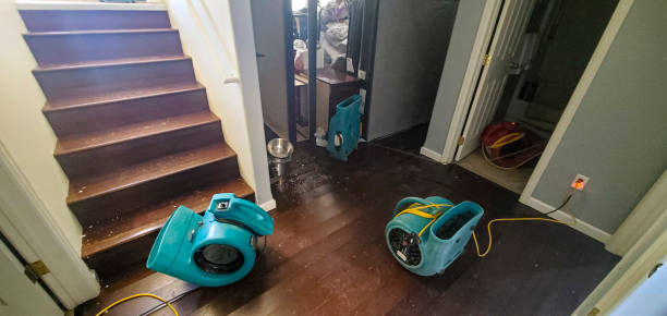 Professional Water damage restoration in Seven Mile, AZ