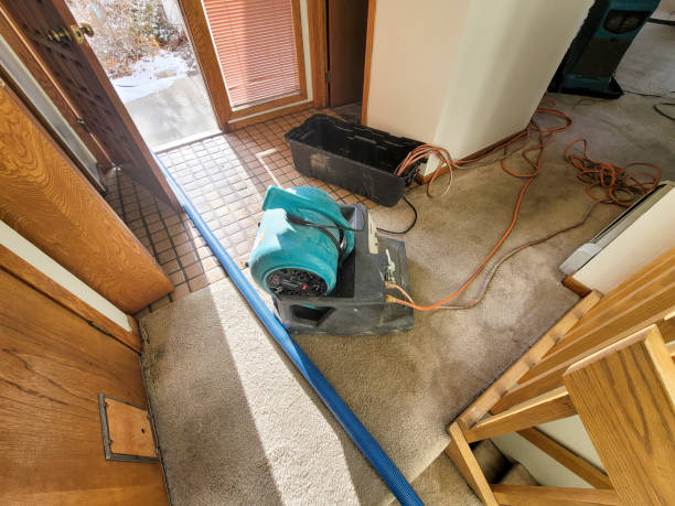 24/7 water damage repair in Seven Mile, AZ