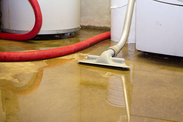 Sewage cleanup and water damage restoration in Seven Mile, AZ