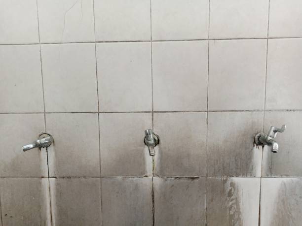 Best Local water damage restoration  in Seven Mile, AZ