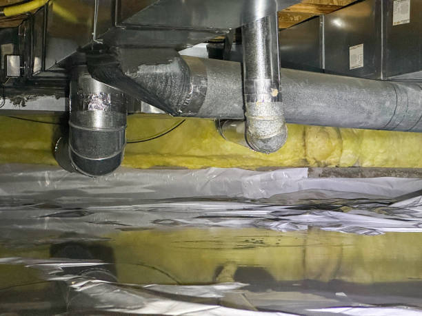 Best Sewage cleanup and water damage restoration  in Seven Mile, AZ