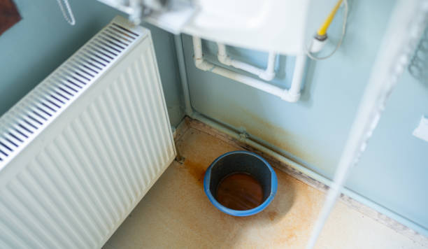 Best Local water damage restoration  in Seven Mile, AZ