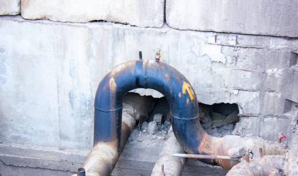 Best Water damage cleanup near me  in Seven Mile, AZ