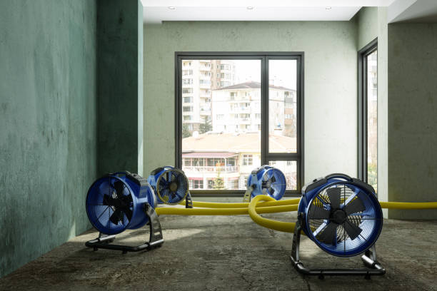 Best 24/7 water damage repair  in Seven Mile, AZ
